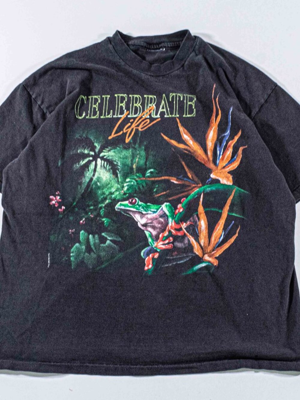 VTG Tree Frog T-Shirt Medium Celebrate Life 90s Harlequin Nature Tee Sun Faded